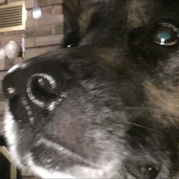 Meet your Posher, Troy - Picture 1 of 1